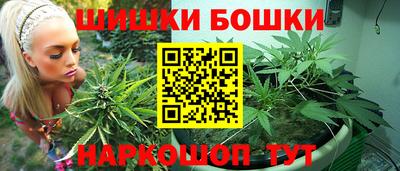 a pvp Брянск