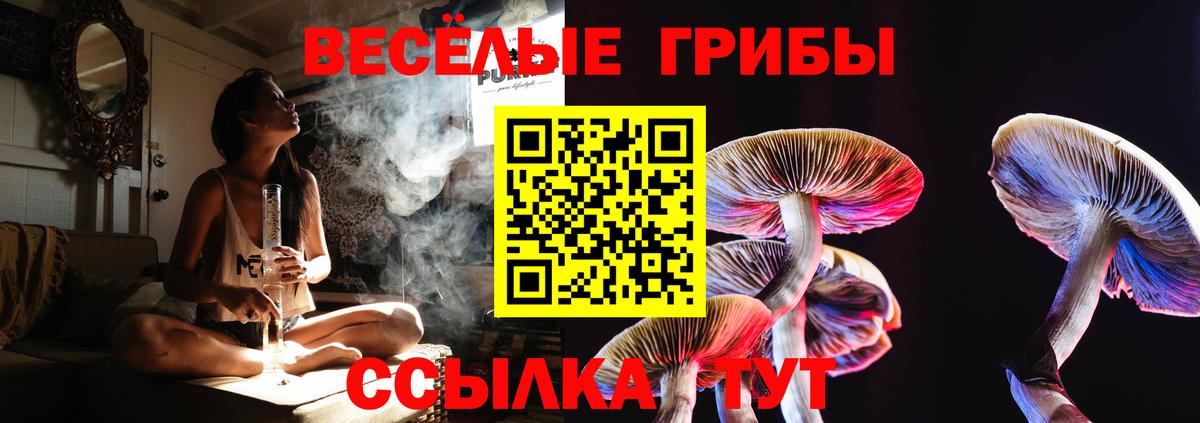 Псилоцибиновые грибы прущие грибы  Вход с VPN  Дивногорск  Псилоцибиновые грибы GOLDEN TEACHER 